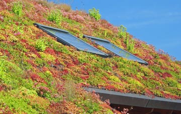 Trewen living roof systems